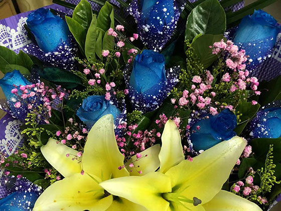 温州友情鲜花-绿化养护设计